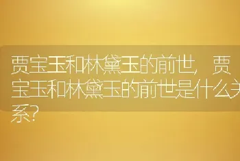 贾宝玉和林黛玉的前世