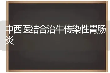 中西医结合治牛传染性胃肠炎