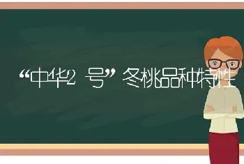 “中华2号”冬桃品种特性