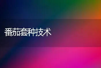 叶面肥的施用要点