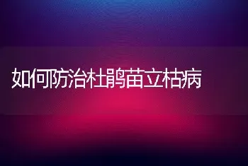 如何防治杜鹃苗立枯病