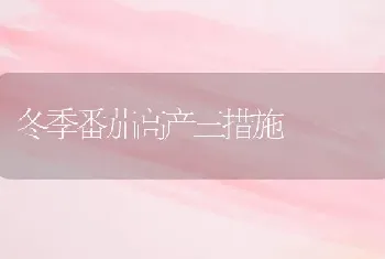 冬季番茄高产三措施