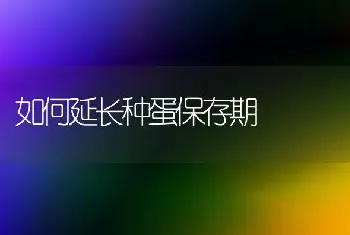 如何延长种蛋保存期