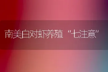 南美白对虾养殖“七注意”