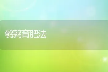 鹌鹑育肥法