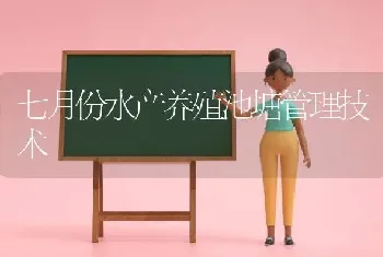 七月份水产养殖池塘管理技术