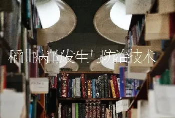 稻曲病的发生与防治技术