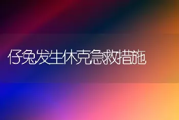 宽体金线蛭的采收与加工