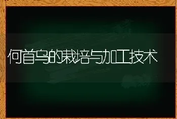 何首乌的栽培与加工技术