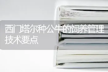 西门塔尔种公牛的饲养管理技术要点