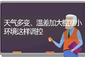 天气多变、温差加大棚室小环境这样调控