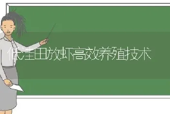 低洼田放虾高效养殖技术