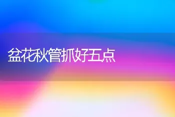 盆花秋管抓好五点