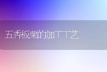 五香板栗的加工工艺