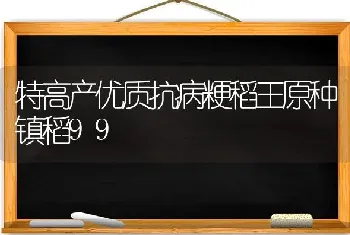 特高产优质抗病粳稻王原种镇稻99