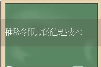 稚鳖冬眠期的管理技术