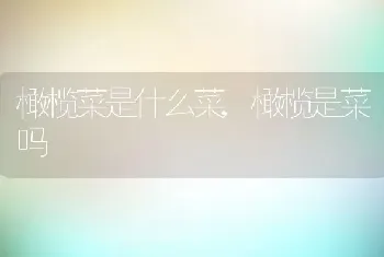 橄榄菜是什么菜