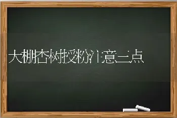 大棚杏树授粉注意三点