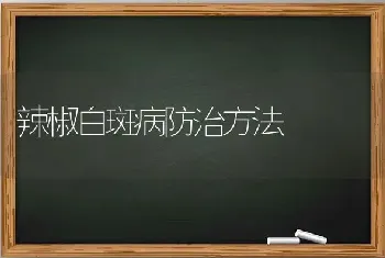 辣椒白斑病防治方法