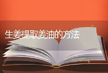 生姜提取姜油的方法