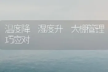 温度降 湿度升 大棚管理巧应对