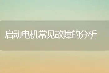 启动电机常见故障的分析