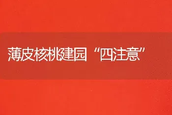 薄皮核桃建园“四注意”