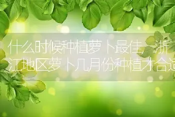 什么时候种植萝卜最佳