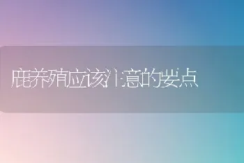 鹿养殖应该注意的要点