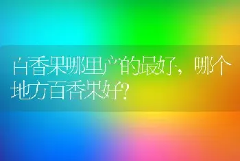 百香果哪里产的最好