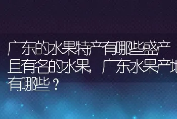 广东的水果特产有哪些盛产且有名的水果