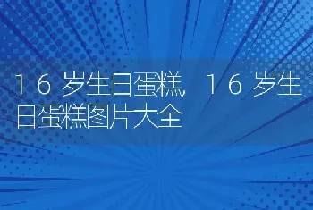 16岁生日蛋糕,16岁生日蛋糕图片大全