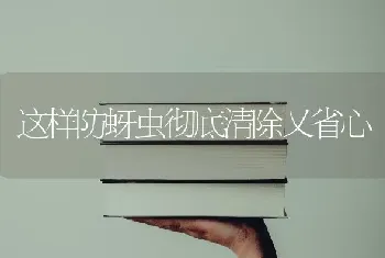 这样防蚜虫彻底清除又省心