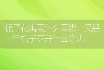 栀子花寓意什么意思