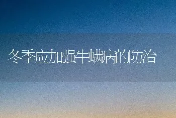 冬季应加强牛螨病的防治