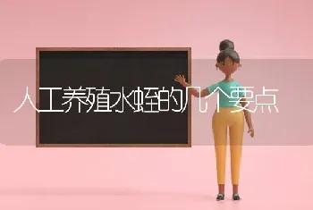 人工养殖水蛭的几个要点