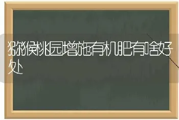 猕猴桃园增施有机肥有啥好处