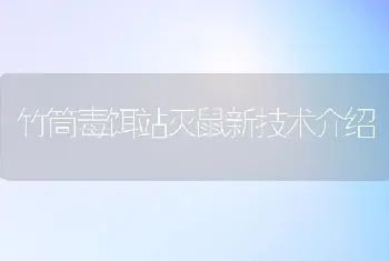 竹筒毒饵站灭鼠新技术介绍