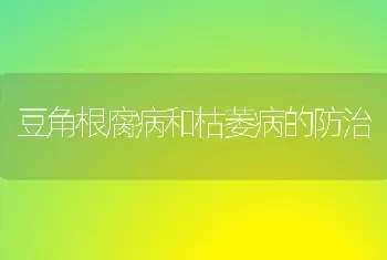 豆角根腐病和枯萎病的防治