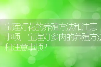 宝莲灯花的养殖方法和注意事项