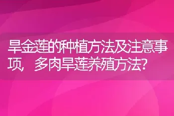 仓鼠是独居动物吗