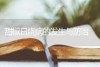 甜椒日烧病的发生与防治