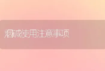 烟碱使用注意事项