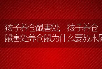 孩子养仓鼠害处,孩子养仓鼠害处养仓鼠为什么要放木屑