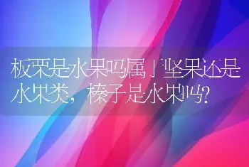 板栗是水果吗属于坚果还是水果类