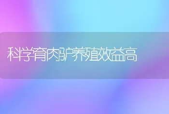 科学育肉驴养殖效益高