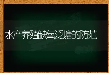 水产养殖缺氧泛塘的防范