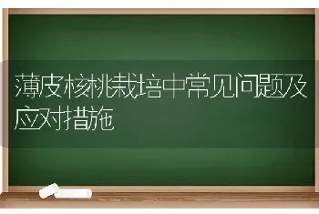 薄皮核桃栽培中常见问题及应对措施