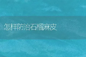 怎样防治石榴麻皮