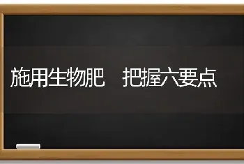 施用生物肥 把握六要点